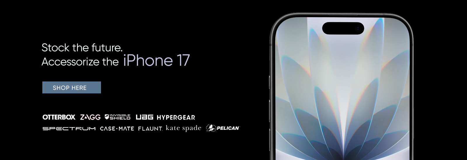 Accessories for iPhone 17